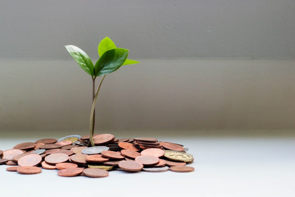 Image of coins and sprouting plant